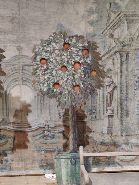 File:Paradise tree Krumlov.jpg