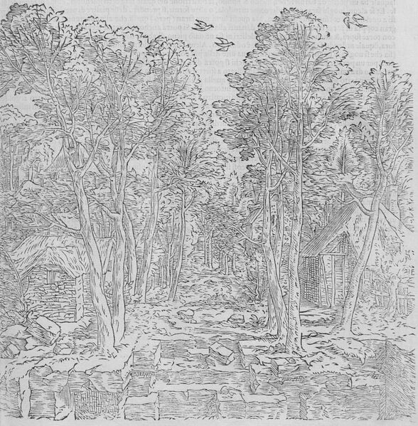 File:IO2 G.03 04.jpg