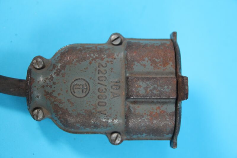 File:T0057b Female.JPG