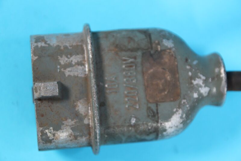 File:T0057b male.JPG